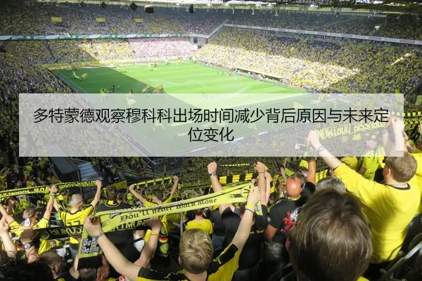多特蒙德观察穆科科出场时间减少背后原因与未来定位变化